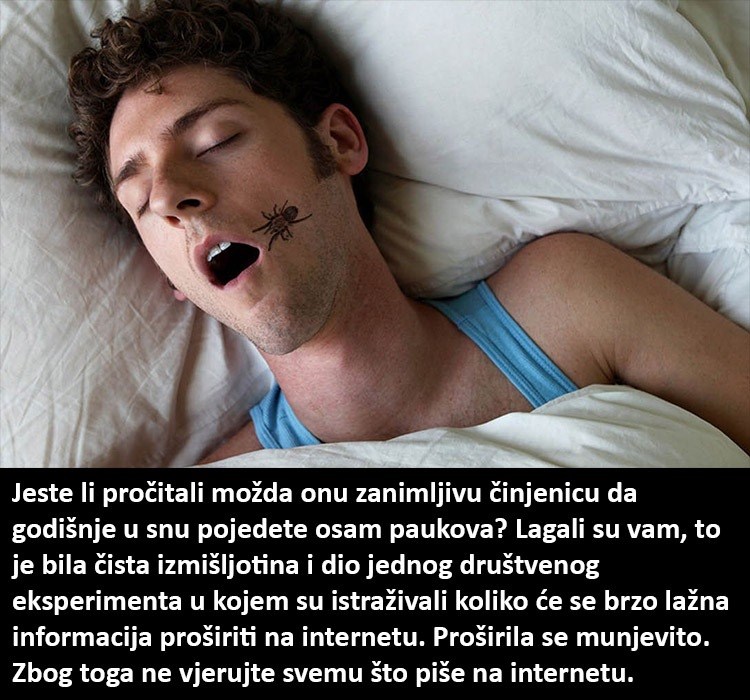 Pojedemo li stvarno godišnje osam paukova u snu?!