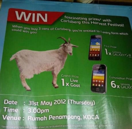 Kriza sve gora: Nagradne igre dijele žive koze