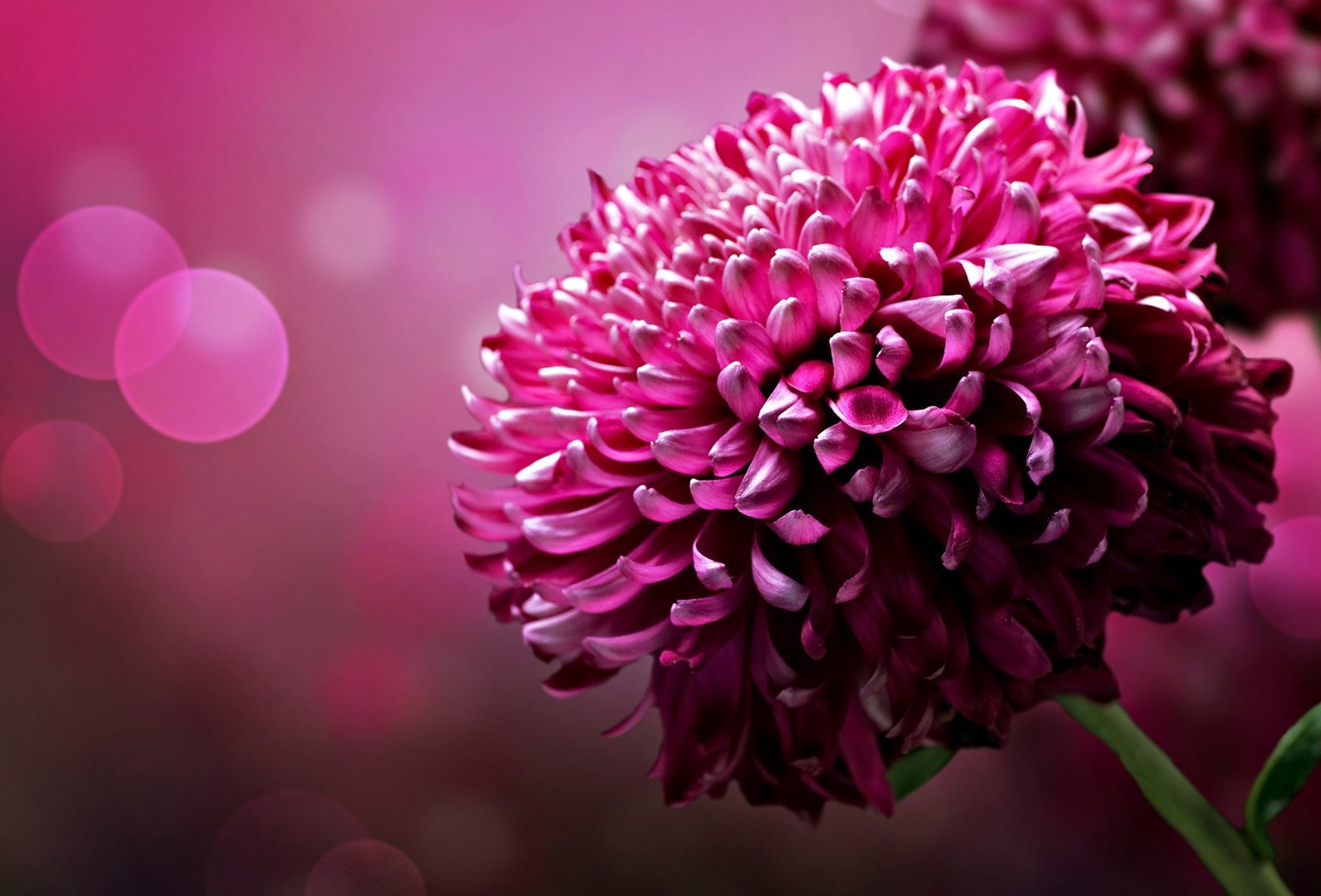 Milijarde godina stvaranja da bi se došlo do ovoga