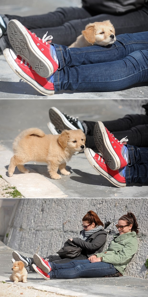 Baš sam ti umoran od ovog sunčanja...