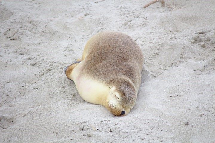 Mhm, još samo 5 minuta, još samo 5 minuta i ustajem...