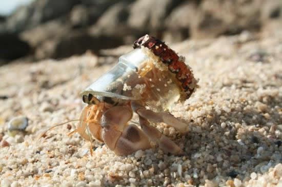 Račić srećković: Pogledao pod čep i osvojio kuću