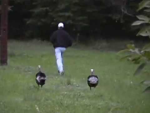 Purica ubojica napala posjetitelja parka, žrtva pokušala stići do auta