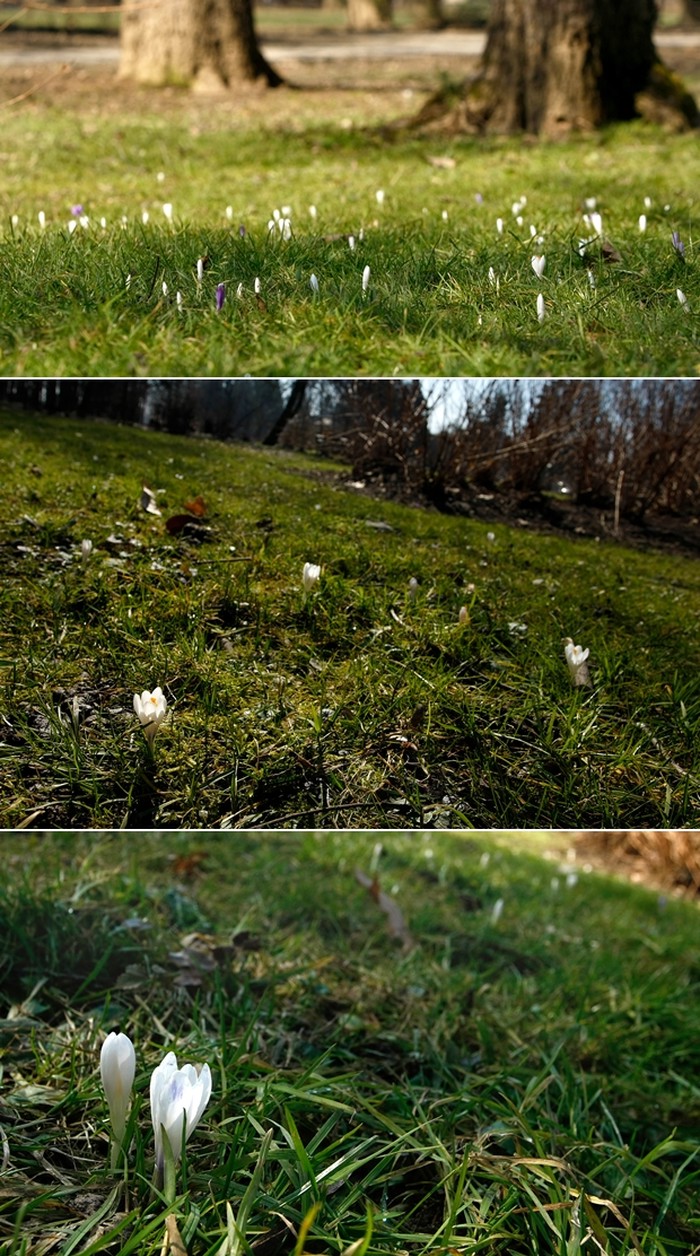 Proljeće u zagrebačkom parku Maksimir