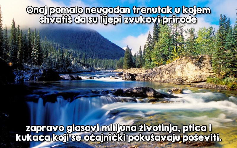 Priroda je divlji grupnjak!