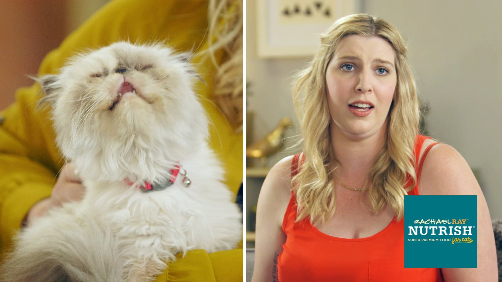 Ljudi koji mrze mačke provele su tjedan dana s mačkom i podijelili svoja iskustva s internetom