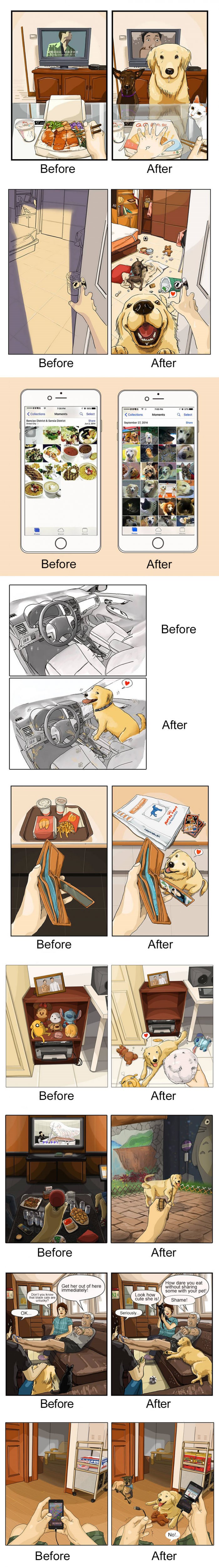 Kako vam život izgleda prije i nakon što nabavite psa?