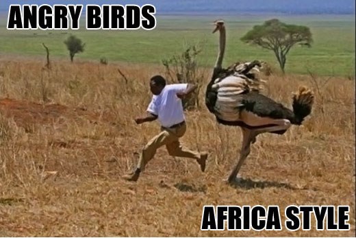 Inspiracija za suludo popularnu igricu