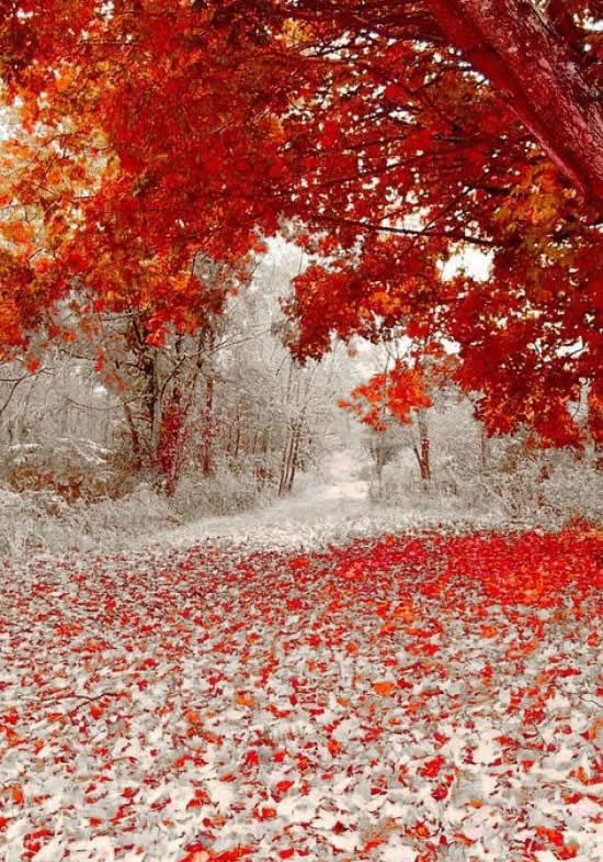 Jesen i zima zajedno