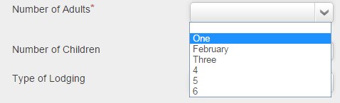 Kad si pijan radiš web