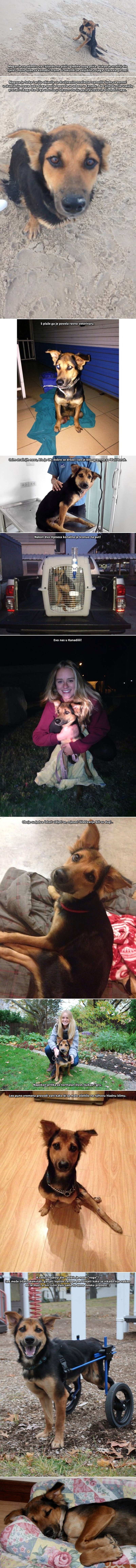 SRCE PUCA: Svi su ignorirali bolesnog psića, a onda mu je jedna djevojka promijenila život zauvijek!