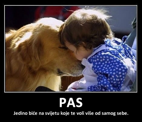 Ne zove se uzalud "čovjekov najbolji prijatelj"