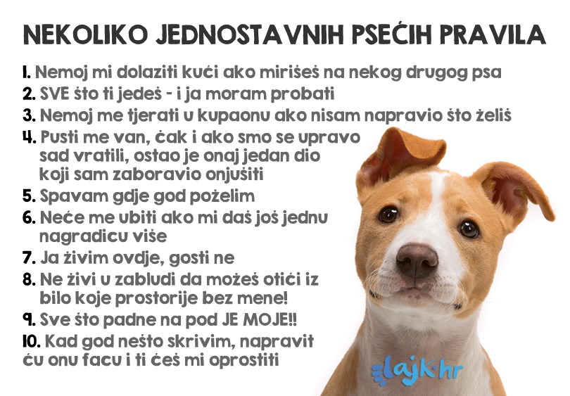 Oko ovog pravilnika nema pregovora