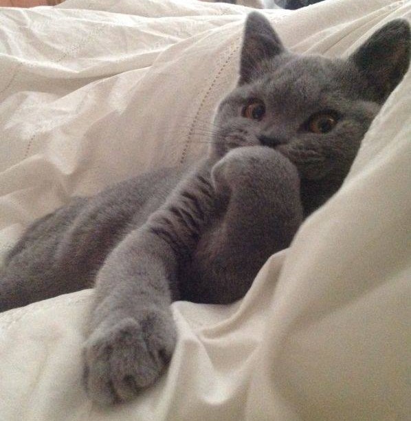 Sve joj je neugodno što ti se uvukla u krevet