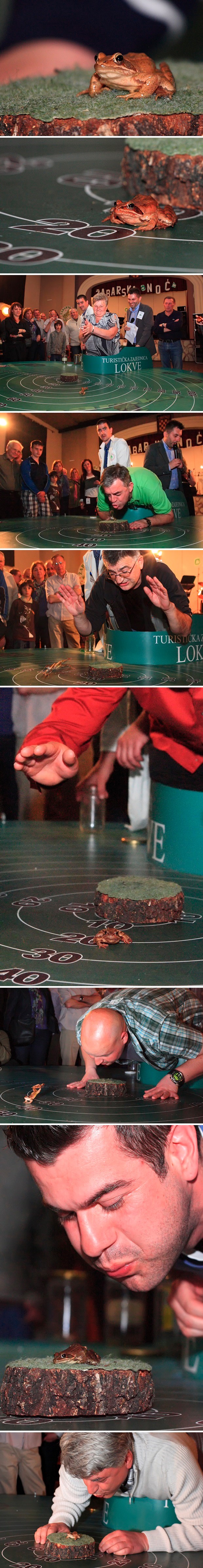 Žabice, skoči što dalje!