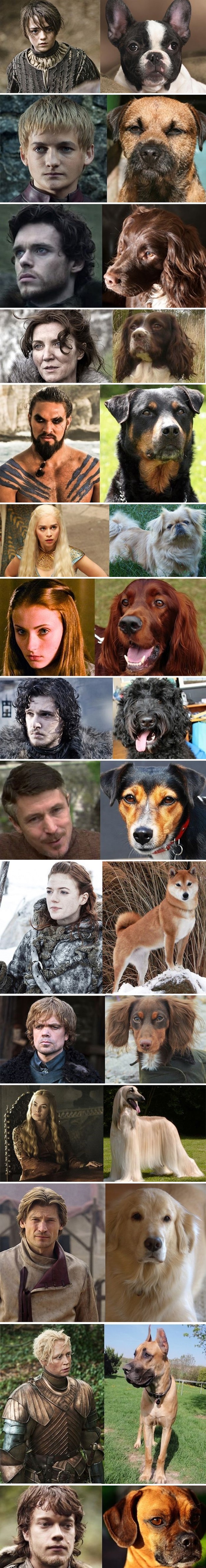 "Game of Bones" - pseća verzija "Igre prijestolja"
