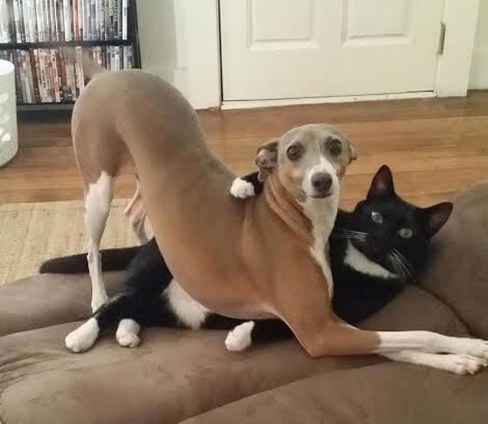 Stani, nije ono što misliš!