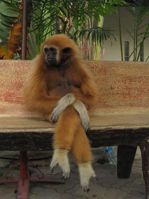 Je li i tebi ovo simpatično?