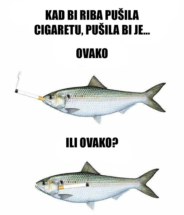 Možete li vi odgovoriti na ovo neobično pitanje o ribi i cigareti?