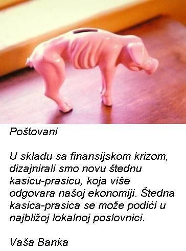 Kasica-prasica: Model za krizu