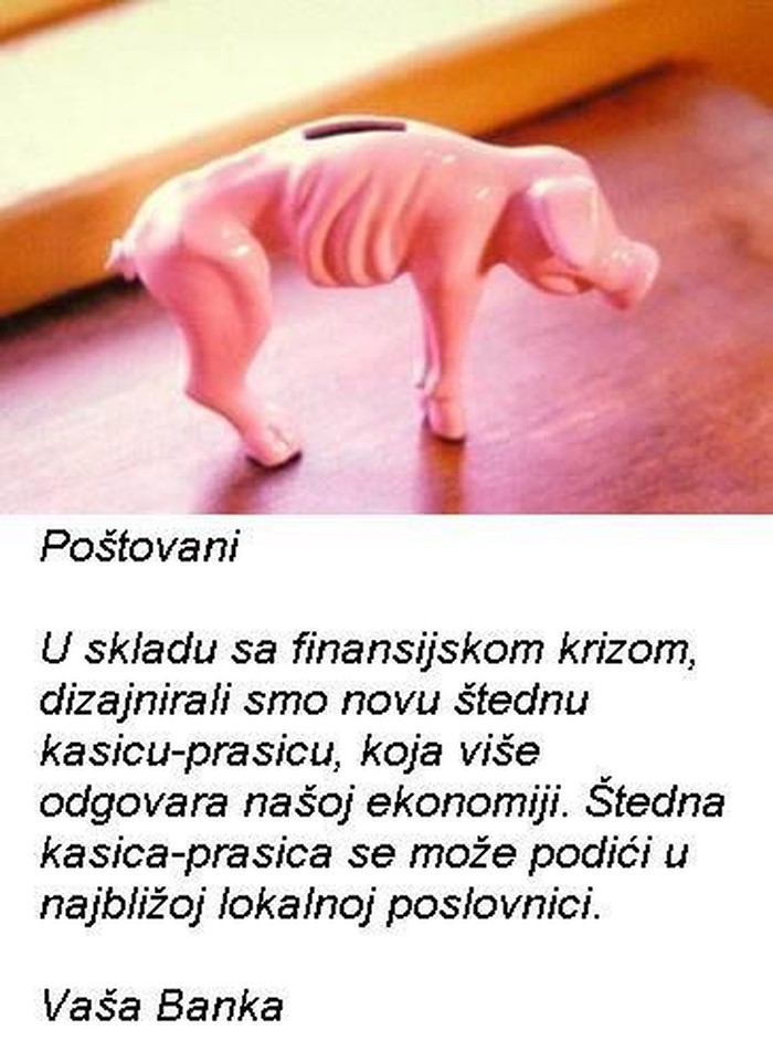 Kasica-prasica: Model za krizu