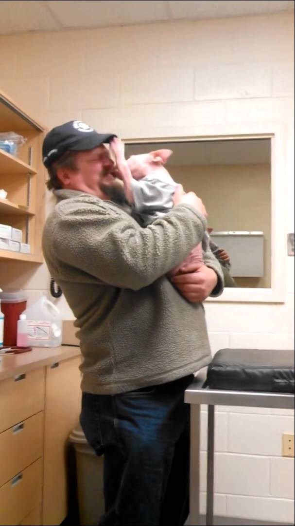 Presretni majušni pitbull svog spasitelja obasuo pusicama!