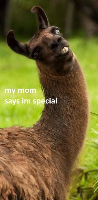 "Mamica kaže da sam poseban."