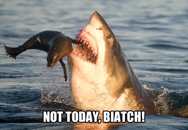 E nećeš danas, morski kučku, ne danas!