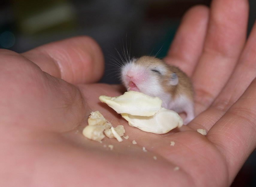 Najljepši dan u njegovom malom životu!