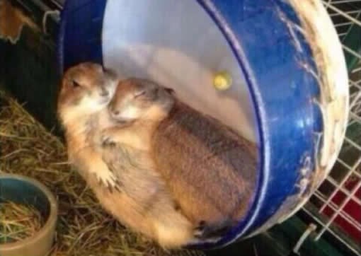 Kako joj reći da je bilo lijepo, ali nek se sad gubi kući?