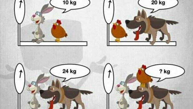 NAJLAKŠA ZAGONETKA NA SVIJETU, a svi lupaju glavom o zid jer je ne znaju riješiti