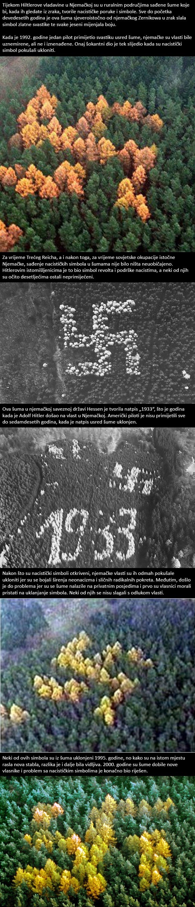 Misteriozni simbol mržnje rastao je u njemačkoj šumi i desetljećima ostao neprimijećen?