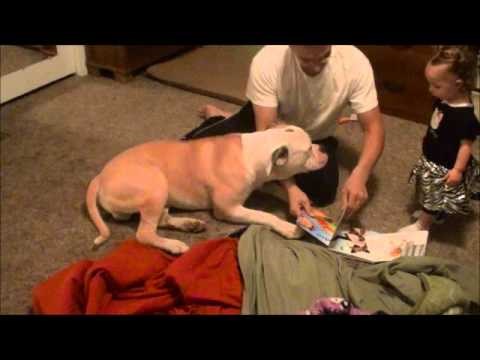 VIDEO: Neuki jezici ušutkani jednim videom