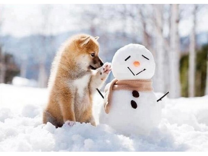 Snješko, daj pet!