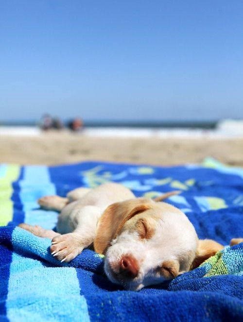 dan stvoren za ovo..:))