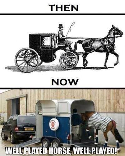 Lukavi konji nasamarili gazde: Sad ih tetoše kao gospodu