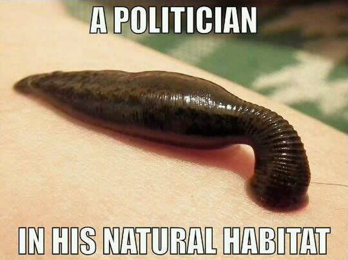 Političar u svom prirodnom staništu