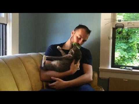 Želite lizati svoju mačkicu? Umjetni jezik za poremećene je tu!