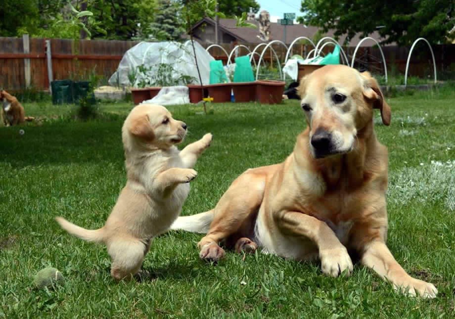 Mama, vidi kako sam jaki, ajde se obrani!