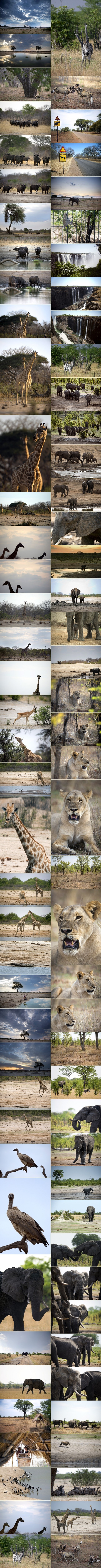 Prošećite prekrasnom divljinom Zimbabvea