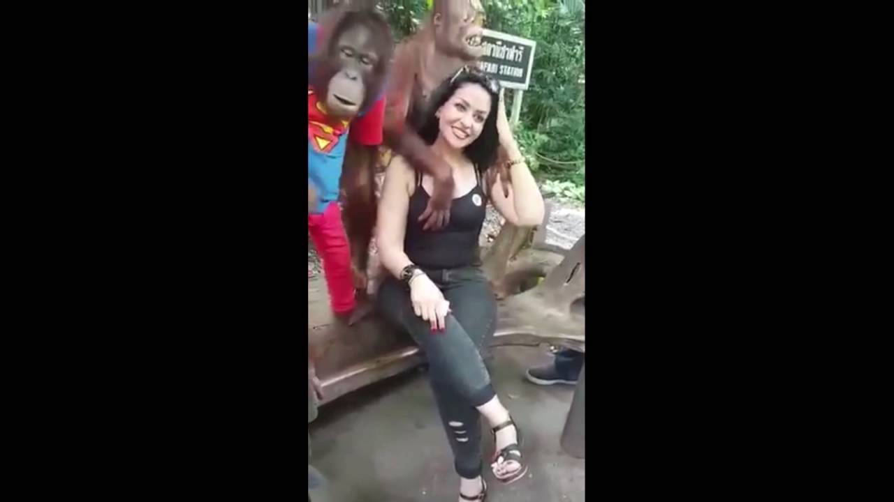 Orangutan turisticu drpao za sisu