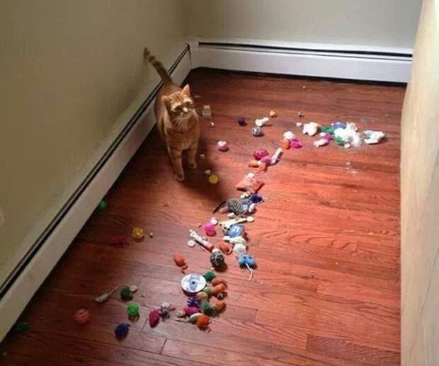 Si ti normalan s tim micanjem kauča? Sad opet moram spremat!