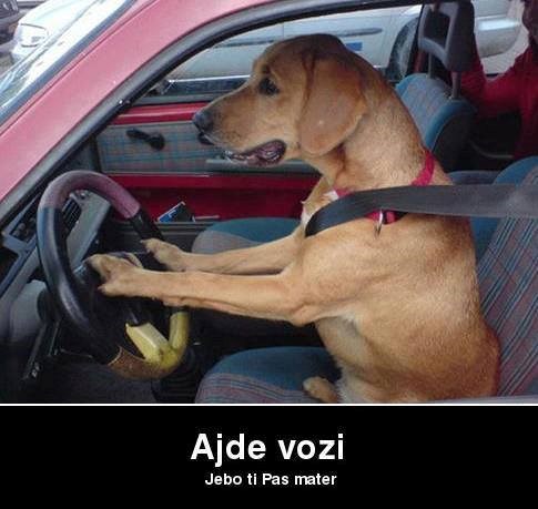 Kad legneš na trubu na semaforu