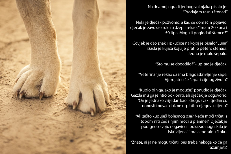 Dobro srce dječaka promijenilo je život ovog nevinog stvorenja