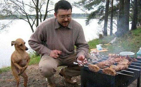 Najumiljatiji i najposlušniji psić strpljivo čeka zalogaj