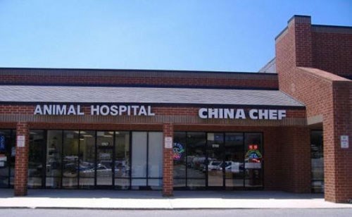 Veterinar i kineski restoran napravili deal?