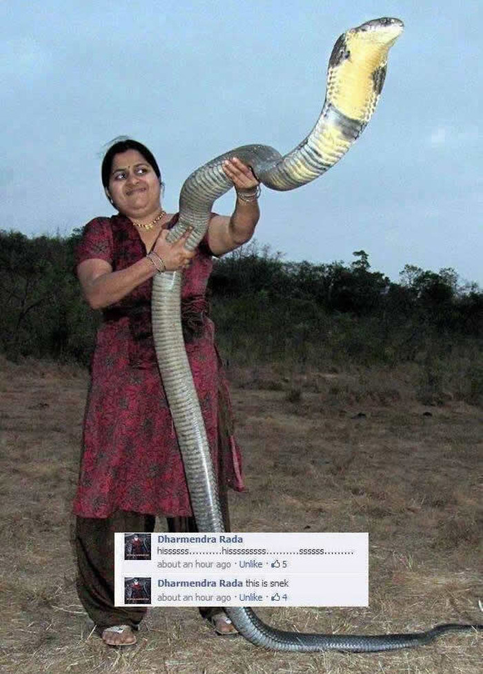 Indijke se ne boje pauka