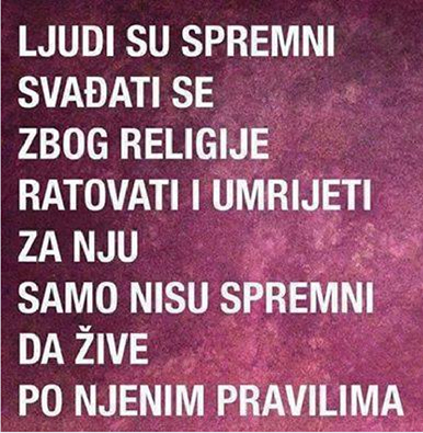 U tom grmu leži zec