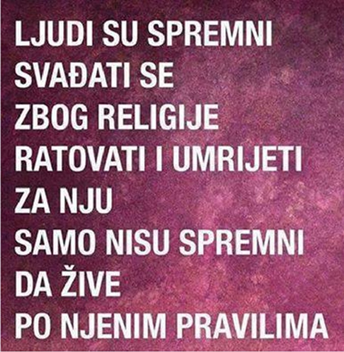 U tom grmu leži zec