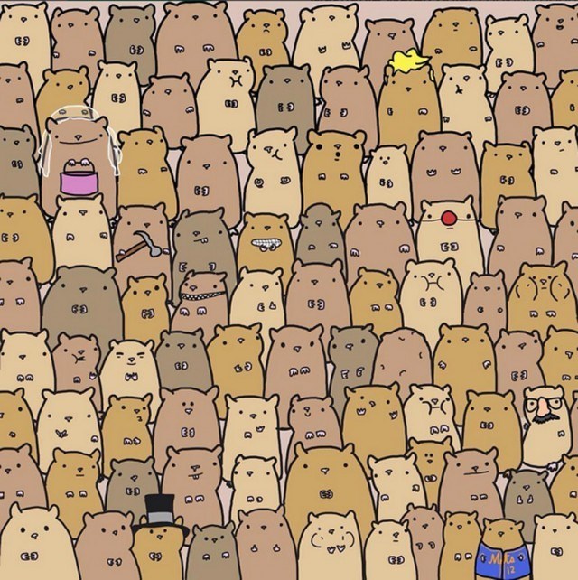 Mozgalica: Gdje se skrio krumpir?